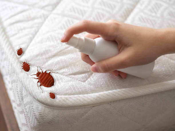 Pest Control Cost in Raven, VA
